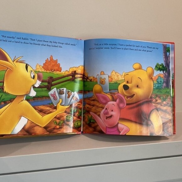 2FOR$10 Books: Disney Winne the Pooh. A Surprise Garden - Picture 2 of 6